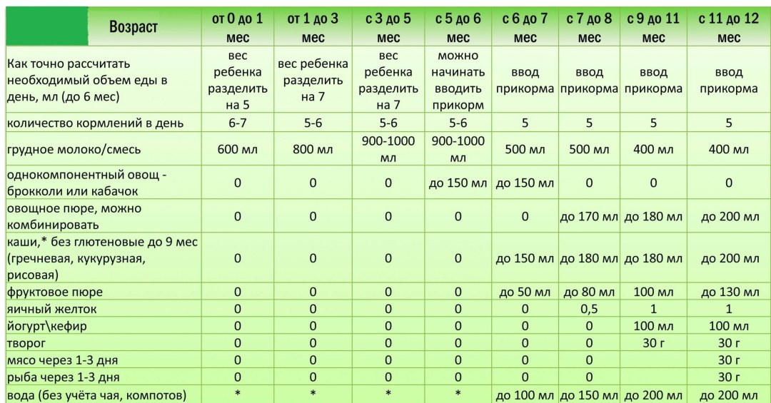Estándares de alimentación a los 6 meses