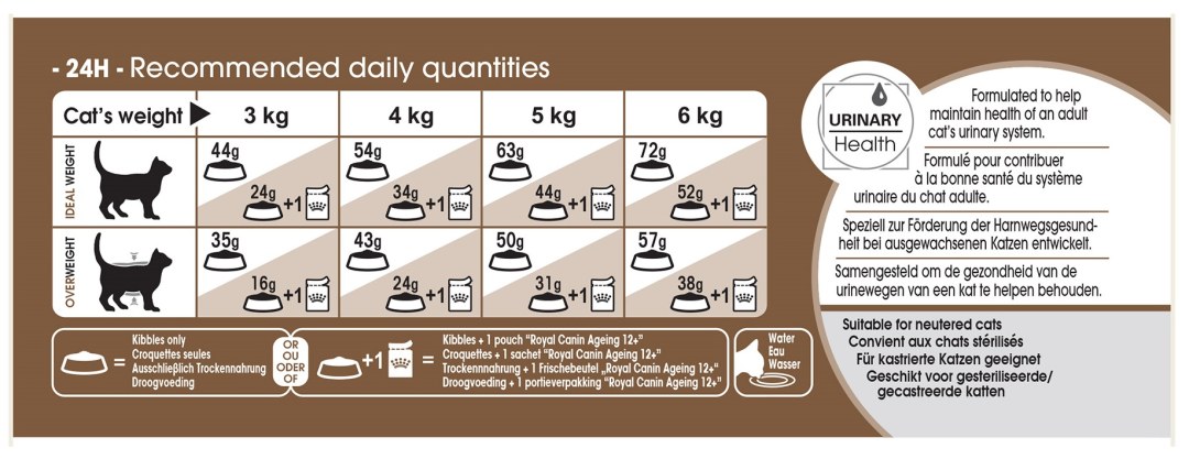 Norma de gato para un gato 7 kg de Royal Canin seco