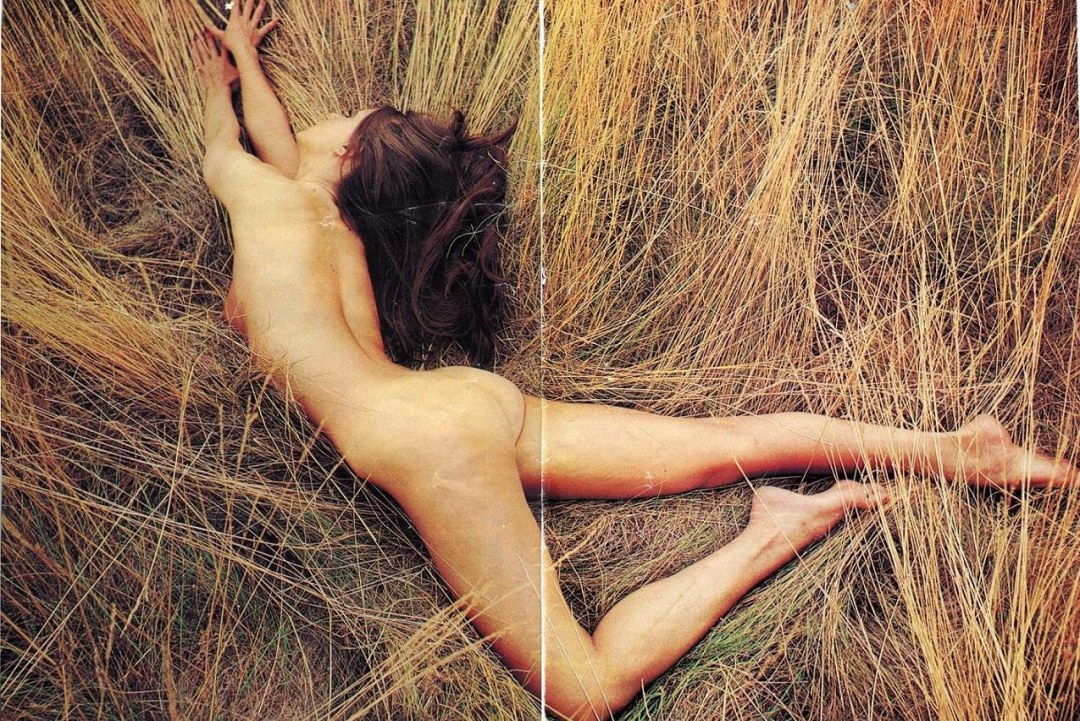 Actrices suecas desnudas
