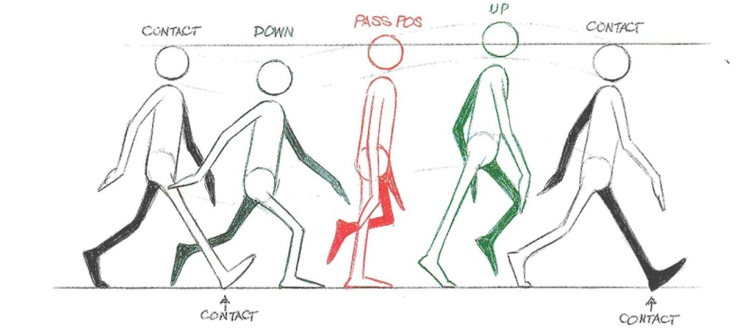 Animación del ciclo de caminata