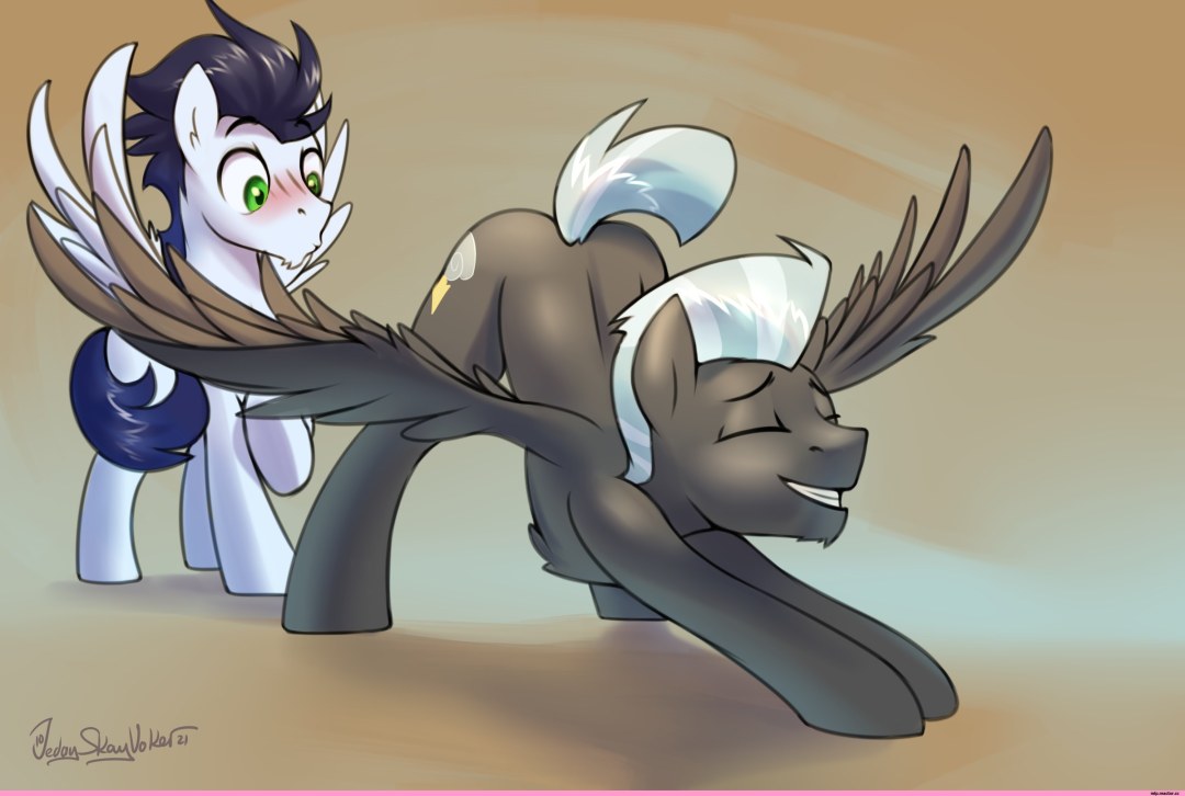 MLP Tanterlein y Soarin