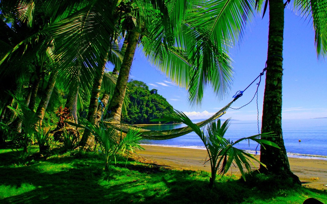 Costa Rick Tropics