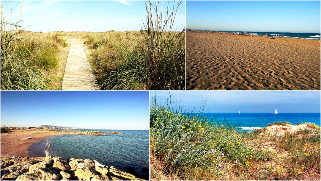 La costa de l. Renacimiento