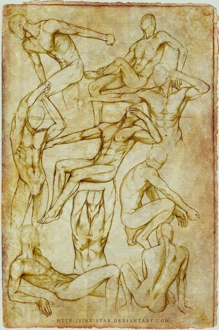 Anatomía en el arte del dibujo