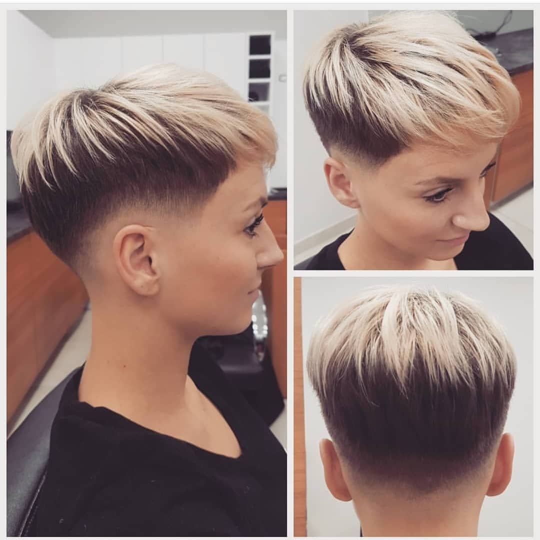 Pixie Bob Blond 2020