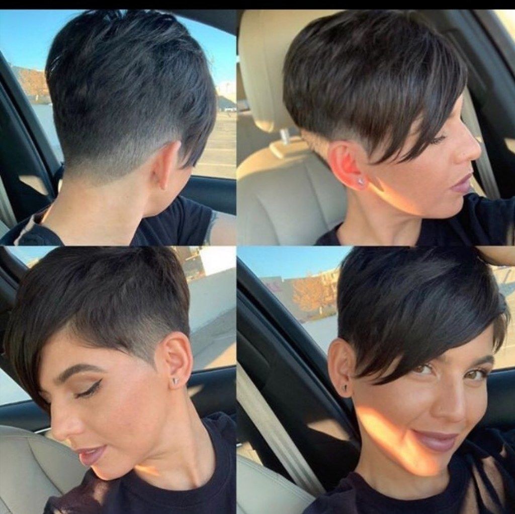 Pixie Bob con una nuca corta