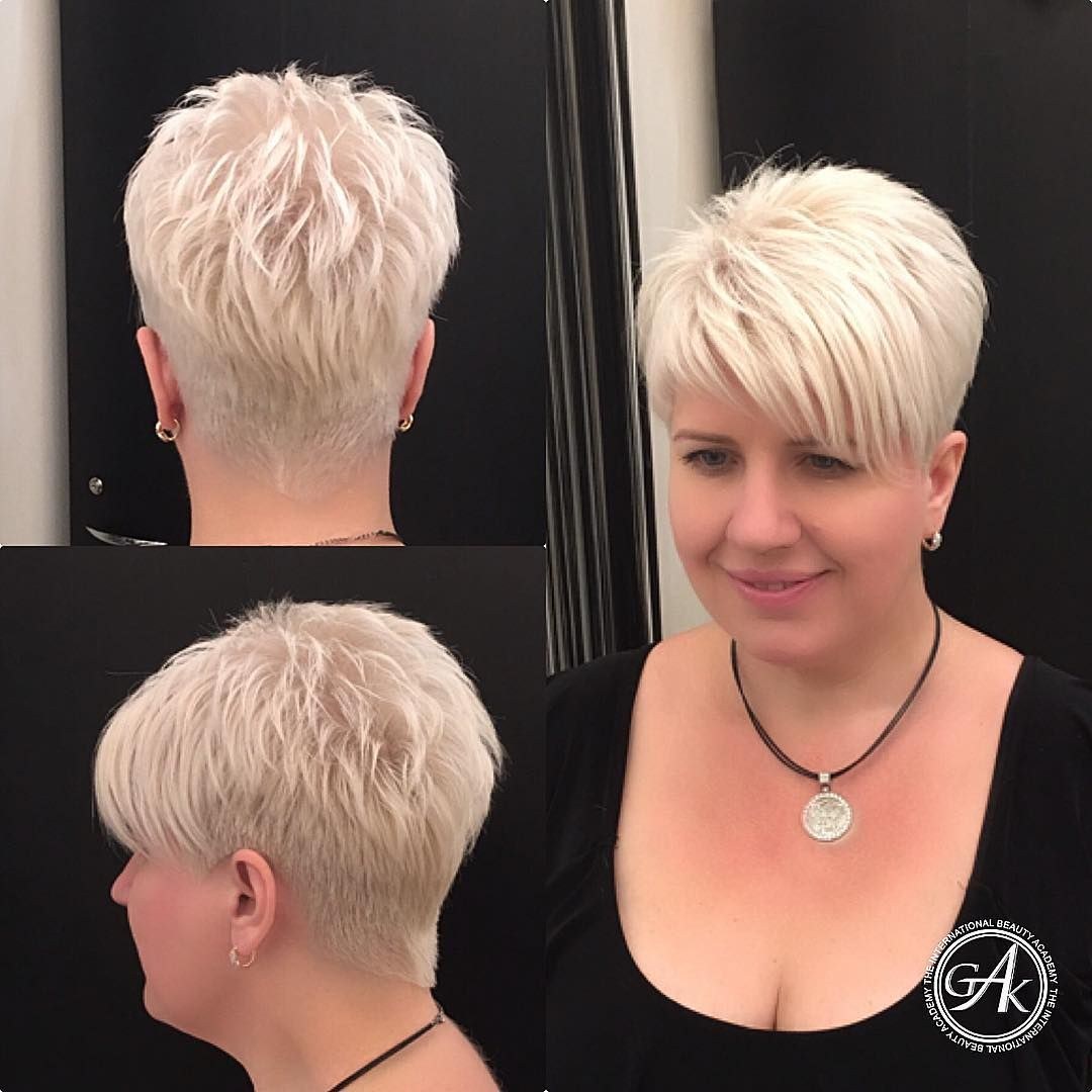 Pixie Bob por detrás