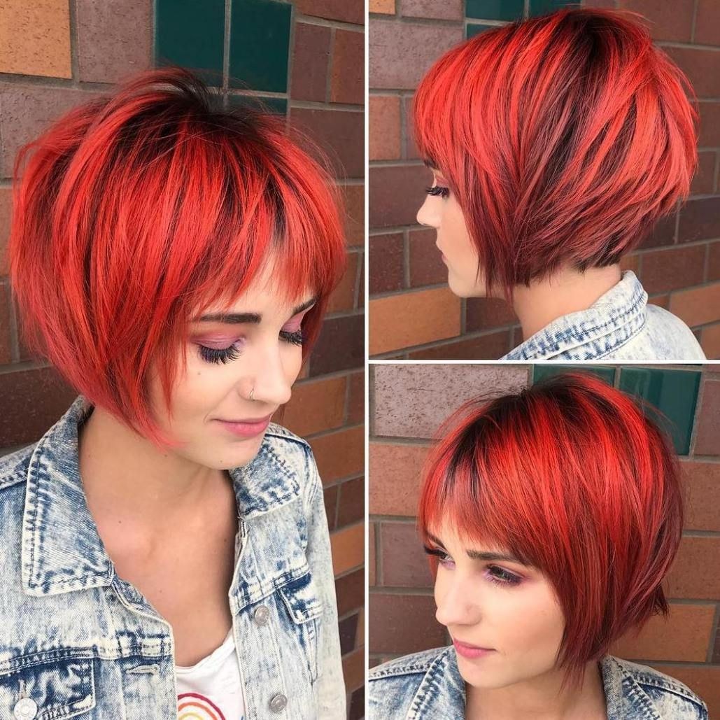 Pixie Bob manchas
