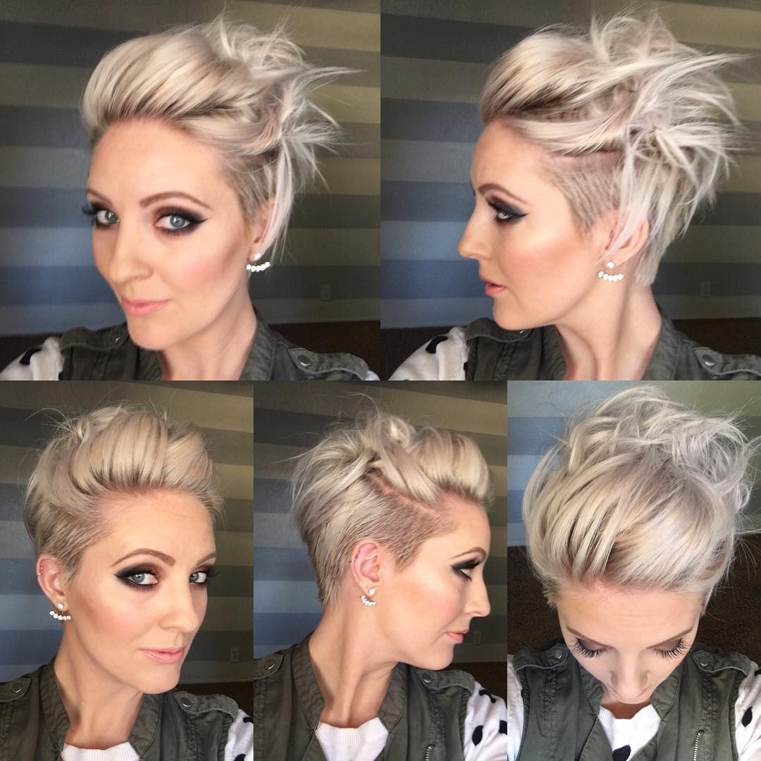 Pixie Bob Asymmetry 2020