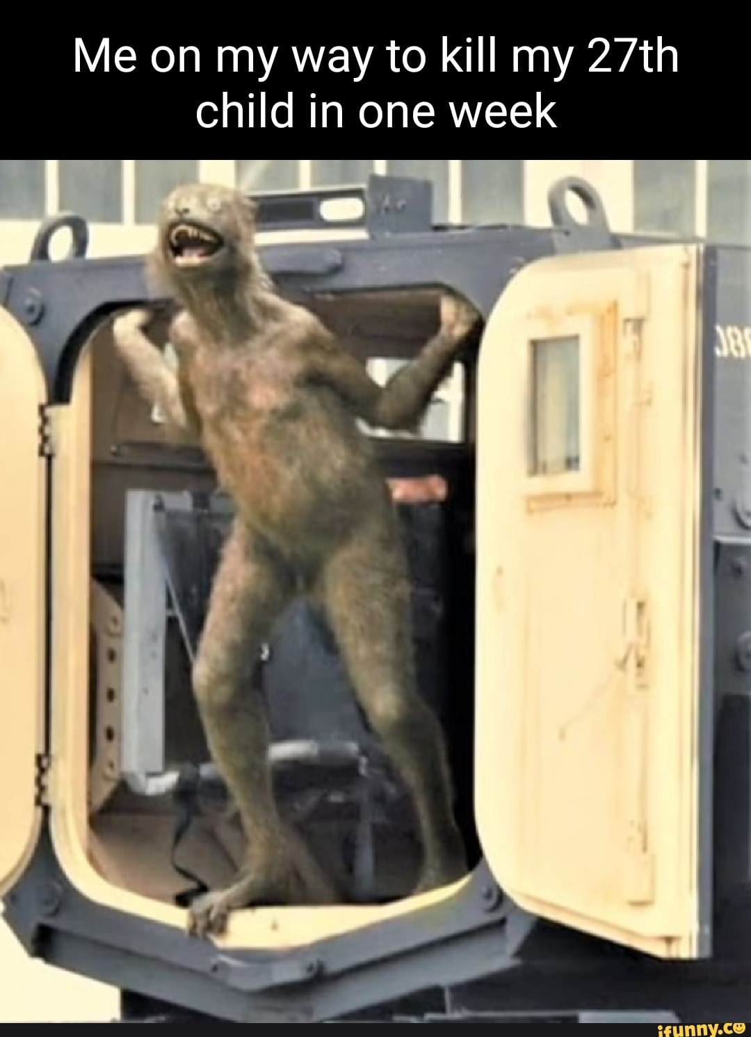 Gorilla lanza a otro gorila