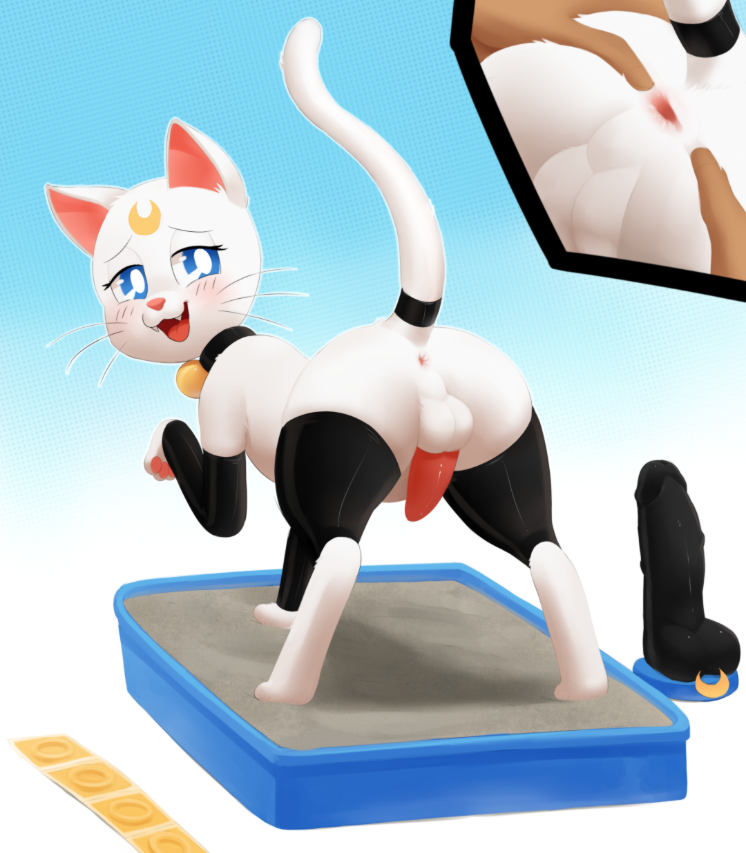 Hentai con gatos con juguetes