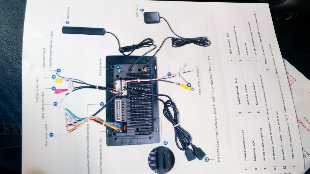 Creación de Michelangelo Adam Vector