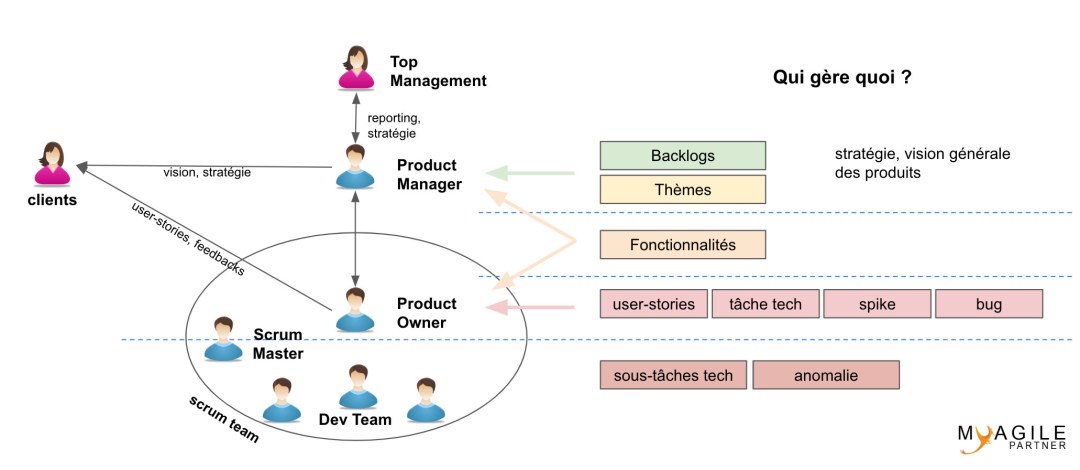 El sonido del bachi tss