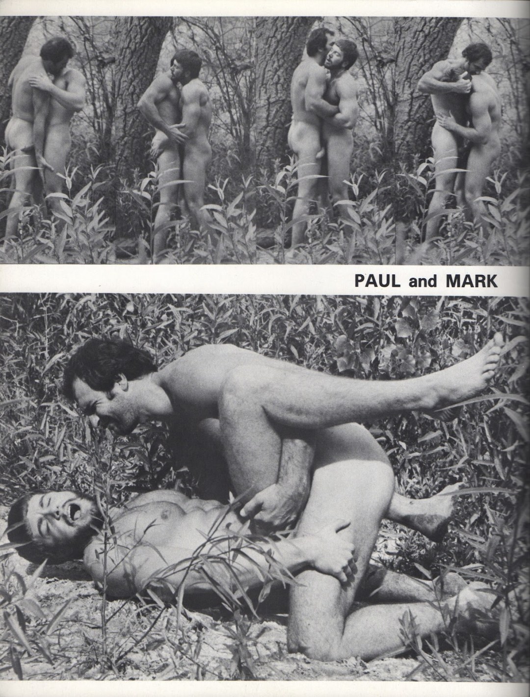 Revista pornográfica con homosexuales