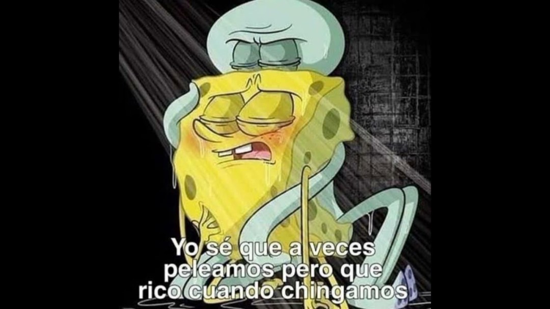 Esponja bob amor