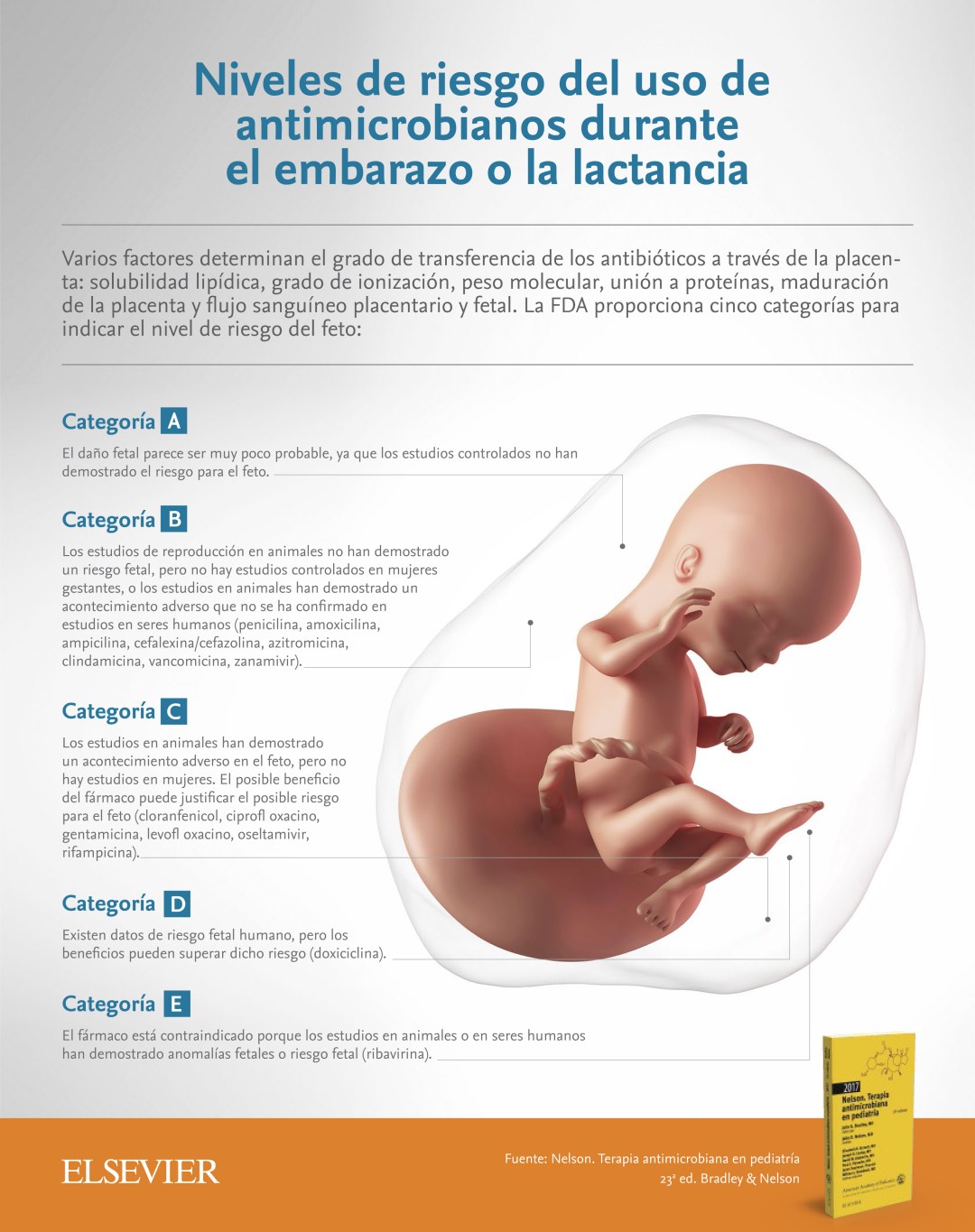 Mujeres de ancianos embarazadas con hombres