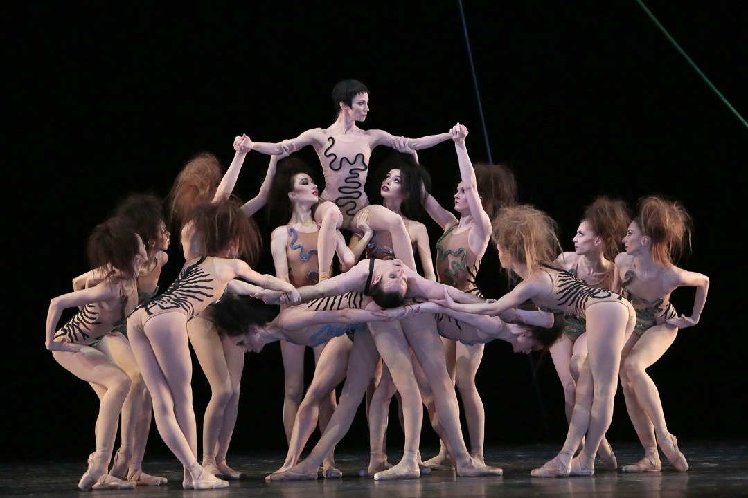 Bullet Baby Bolshoi Theatre