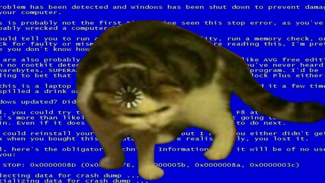 El gato carga