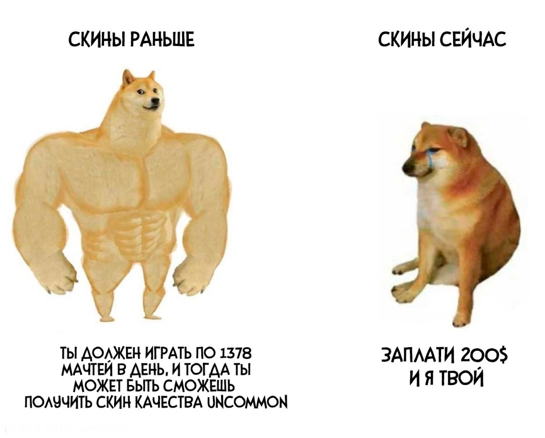 Pitching de perros de meme y perro pequeño