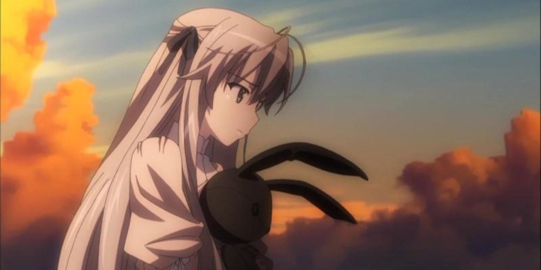Reunirse con 2 universos de anime