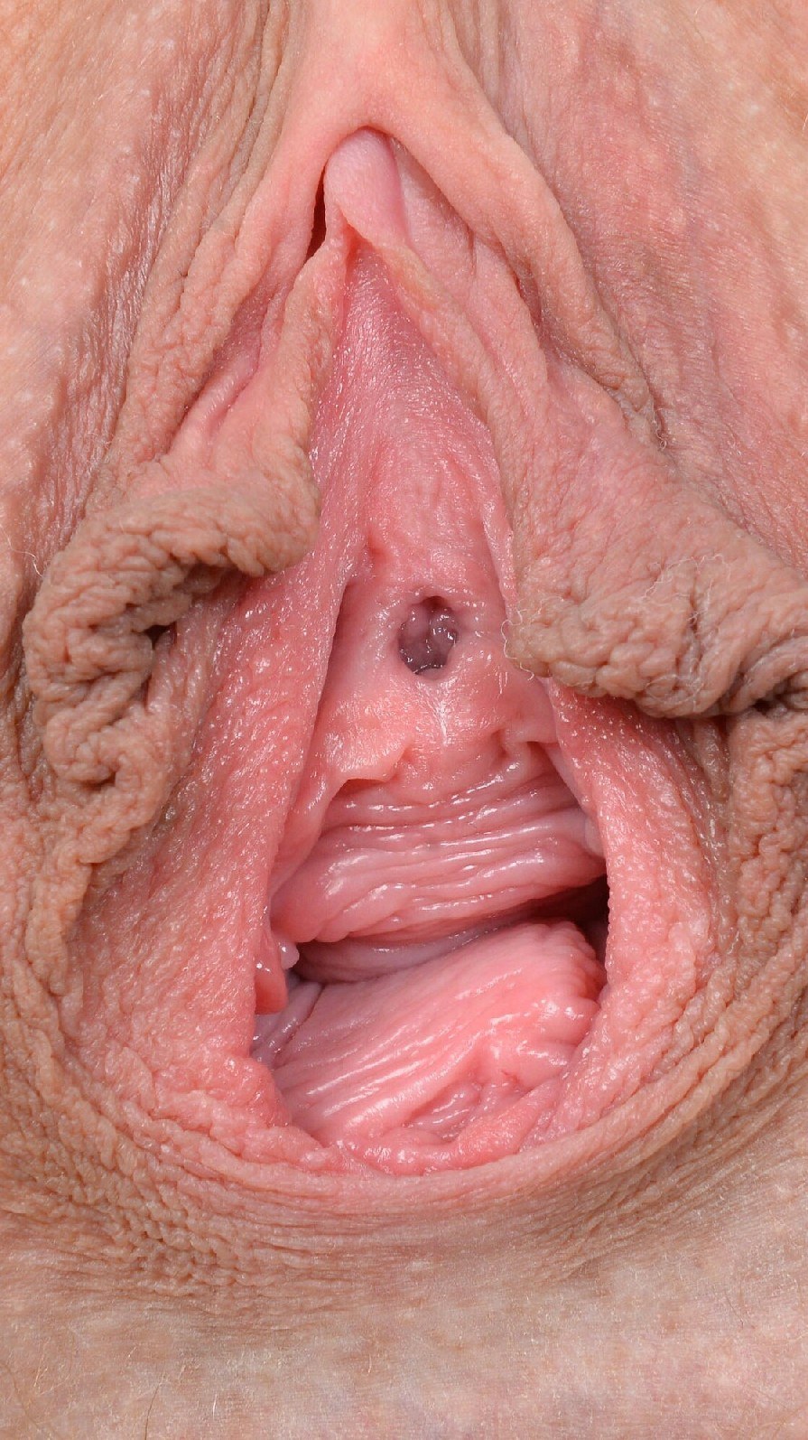 Grandes labios ancianos