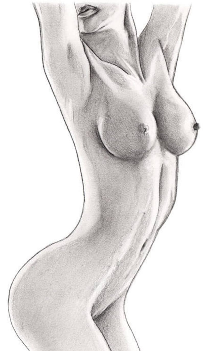 Dibujos desnudos con un lápiz simple