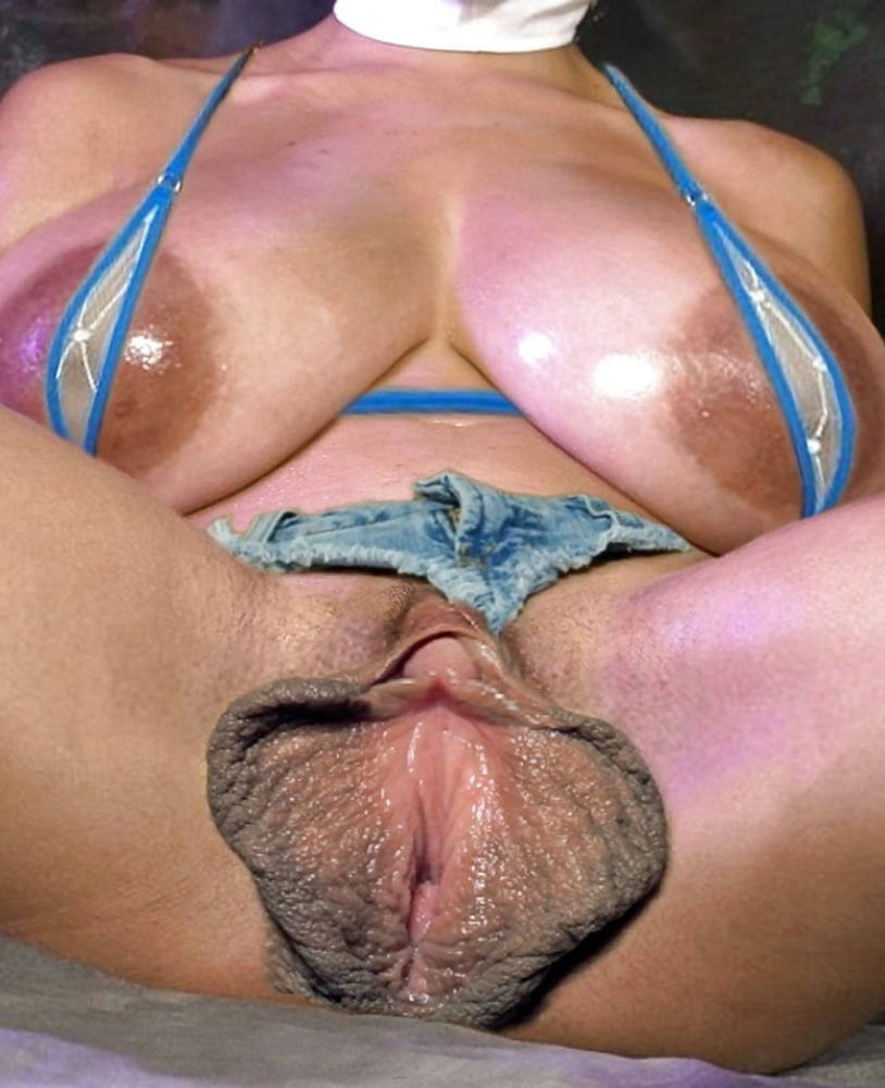 Big Labia de Hhamster