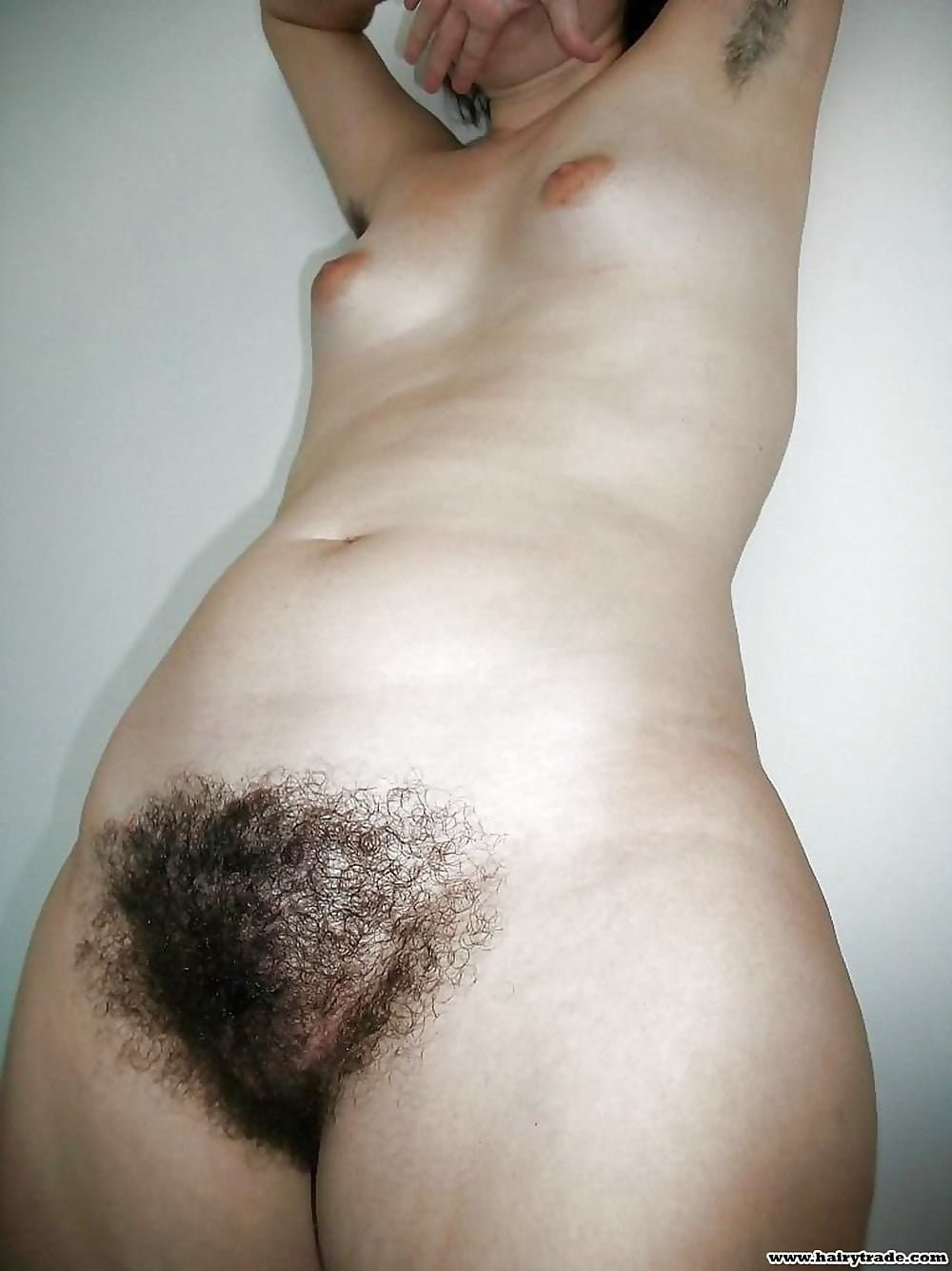 Pubis peludo y esponjoso