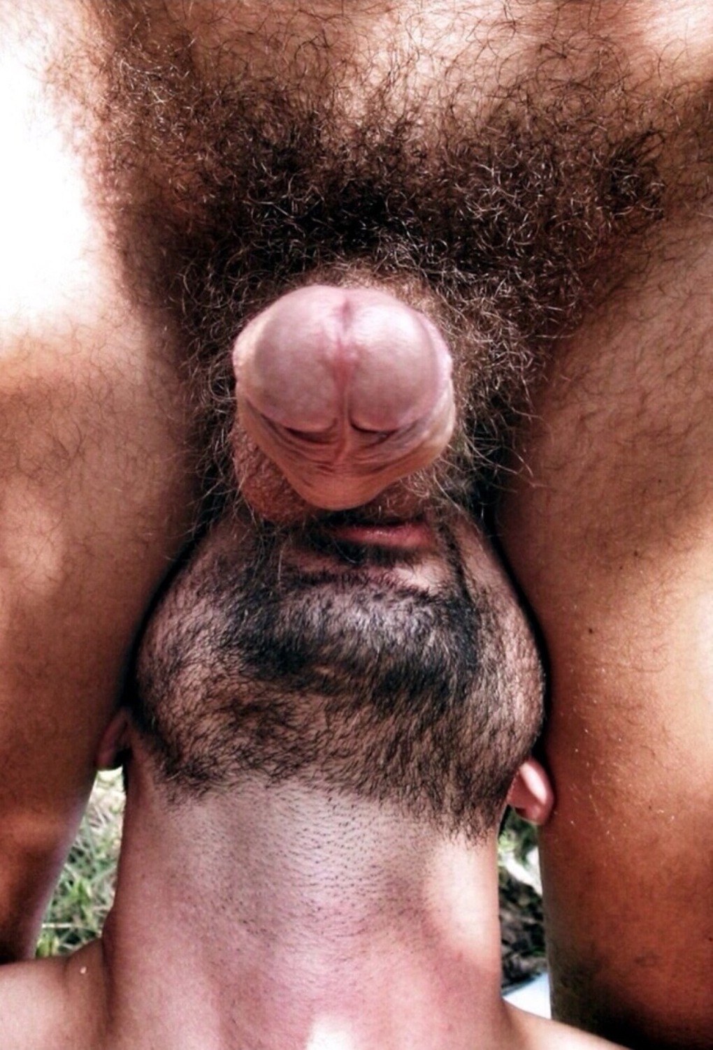 Enormes huevos peludos