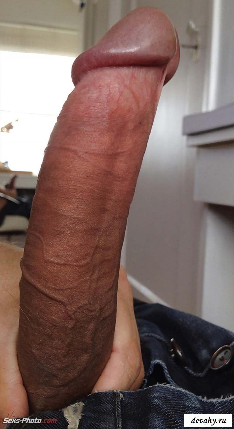 Enorme polla cerrada