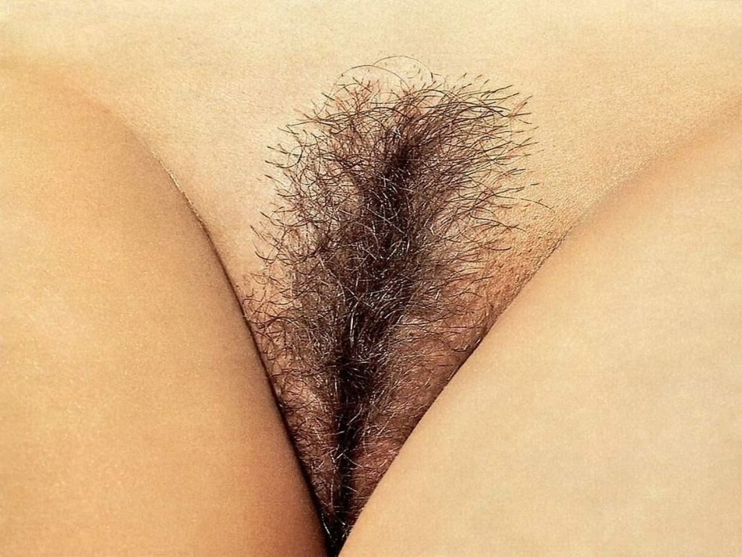 Cortes de pelo púbico eróticos