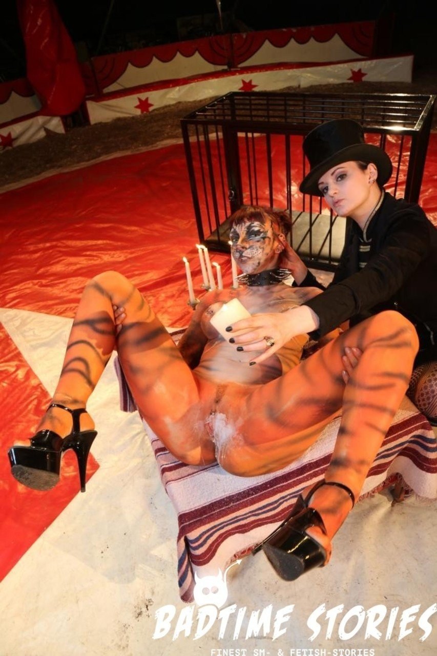 Circo pornográfico