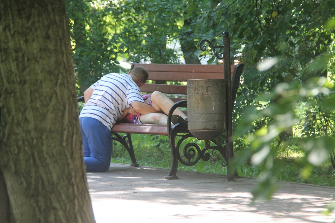 Acariciar en el parque en un banco