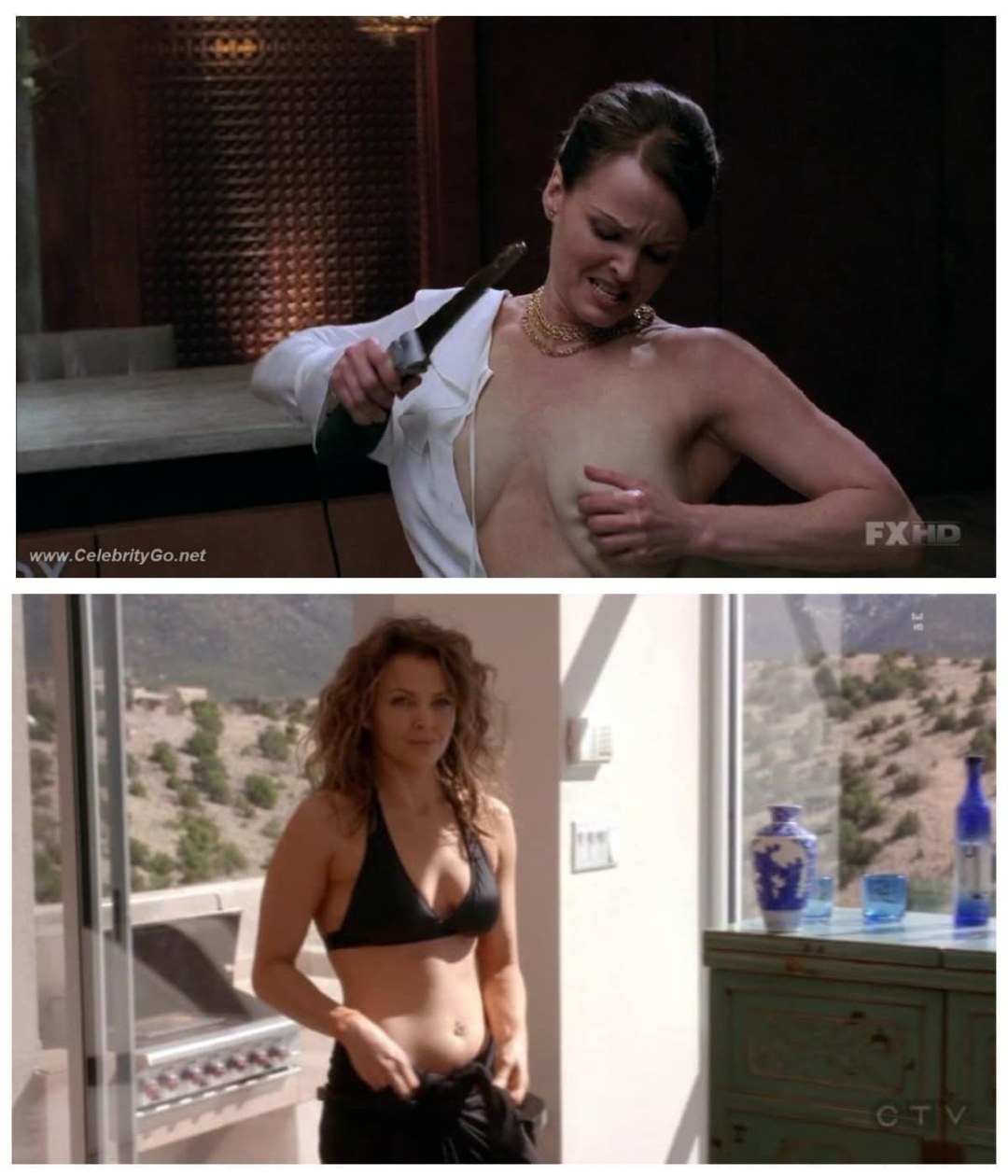 Actriz Dina Meyer desnuda