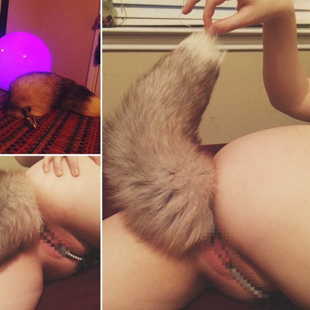 Gatito Sophie Anal Tail