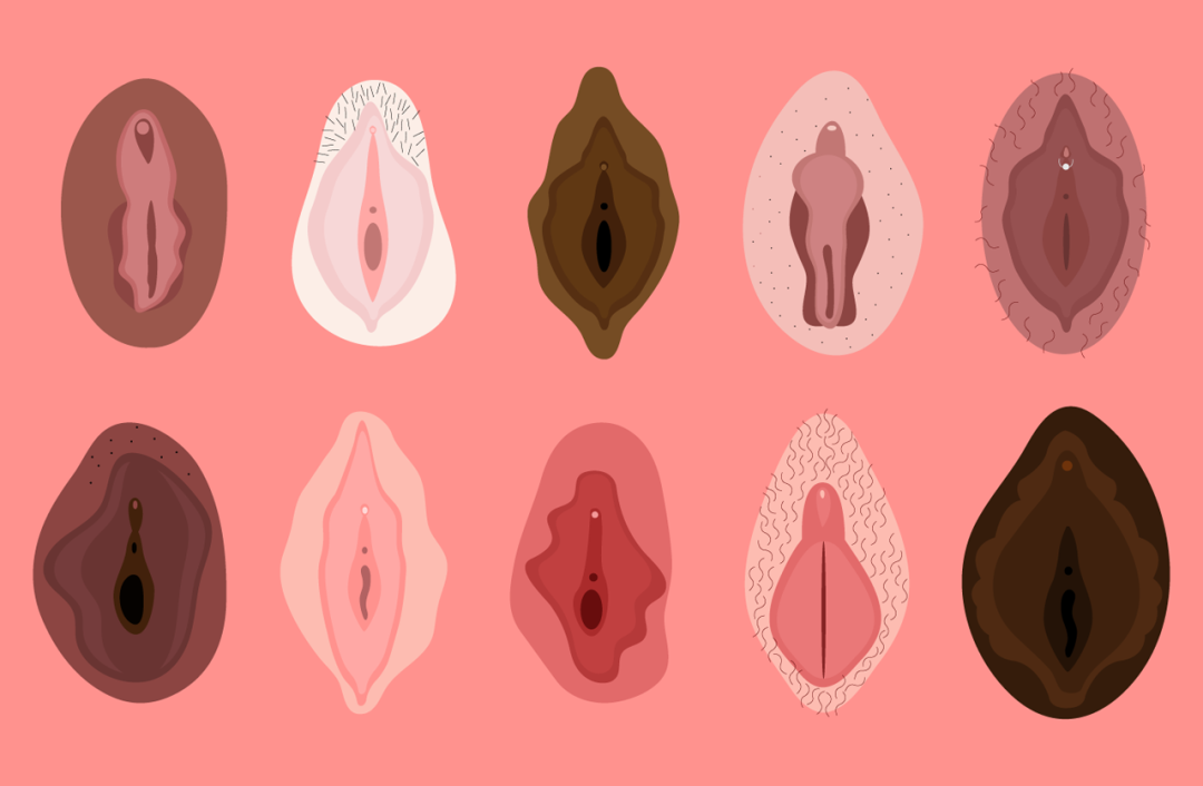 Formas de los labios