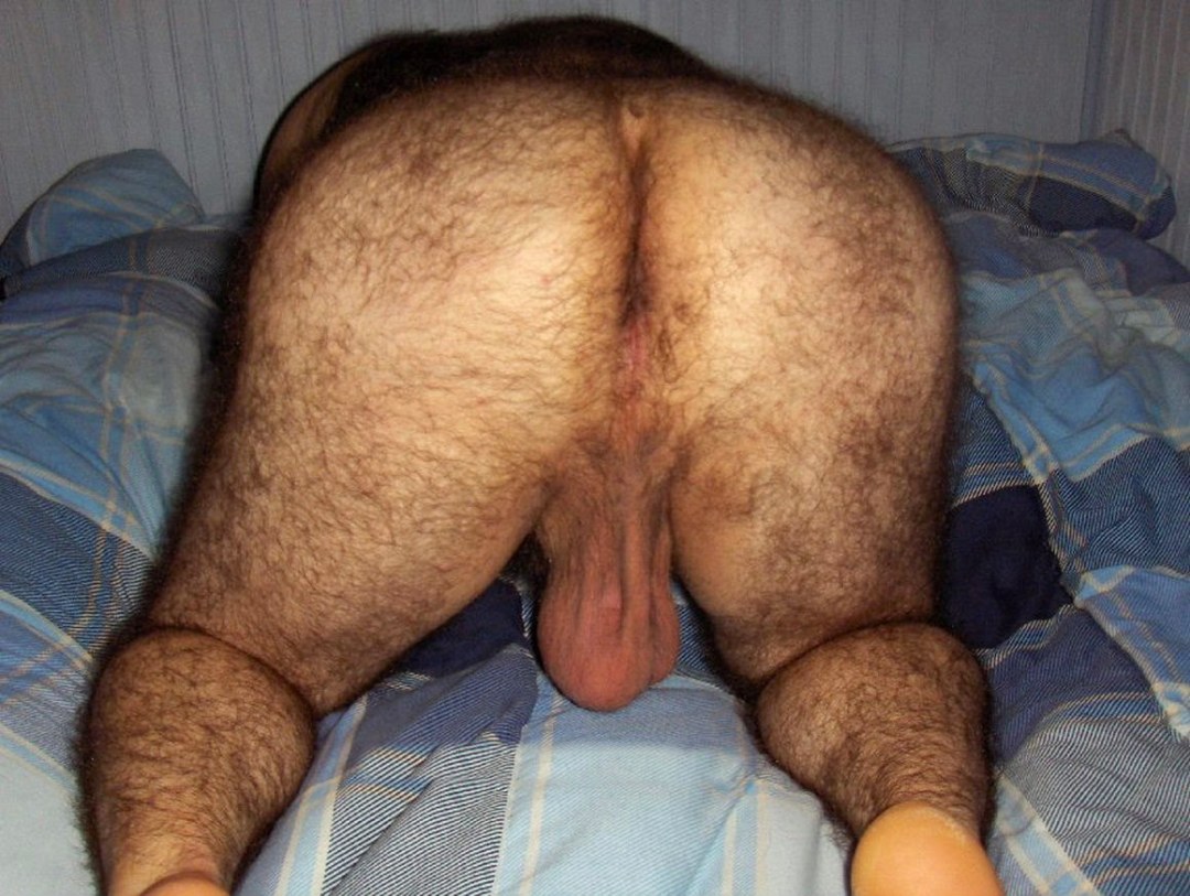 Asses peludos de viejos