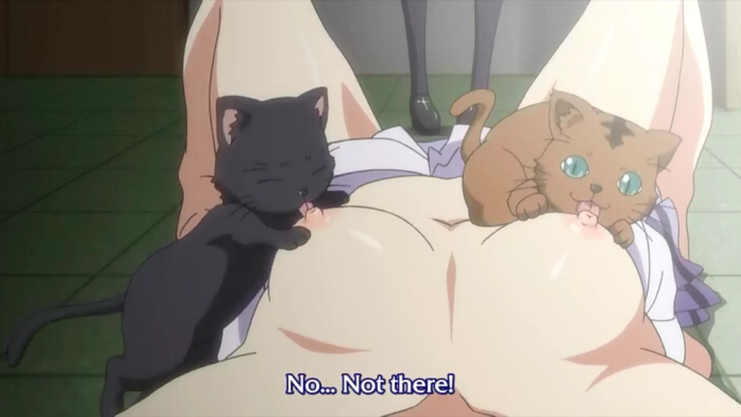 Hentai Cat lame el coño