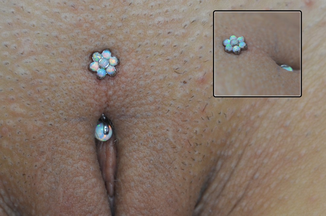 Pierce Christina Vagina