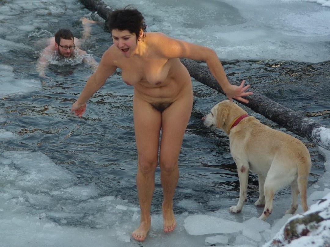 Las morsas desnudas se bañan en el agujero