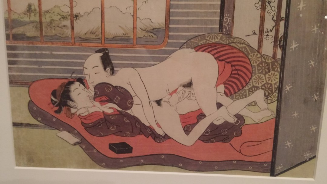 Programas de televisión eróticos japoneses