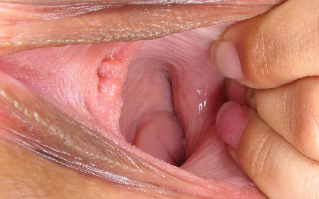Vaginas de mujeres desde adentro