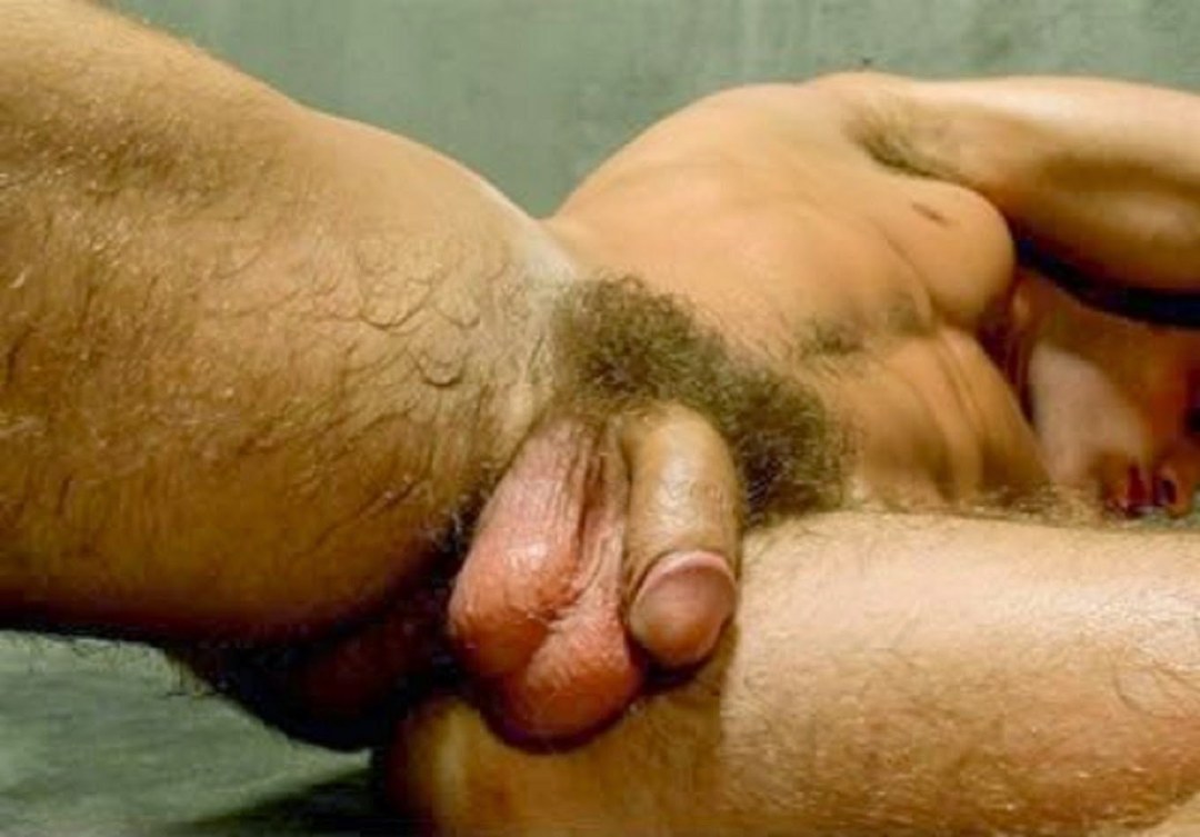 Enormes huevos peludos
