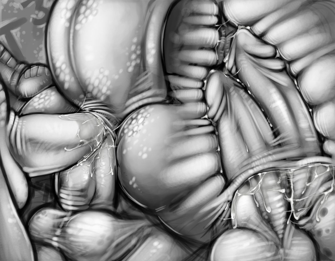 Anatomía de la penetración anal