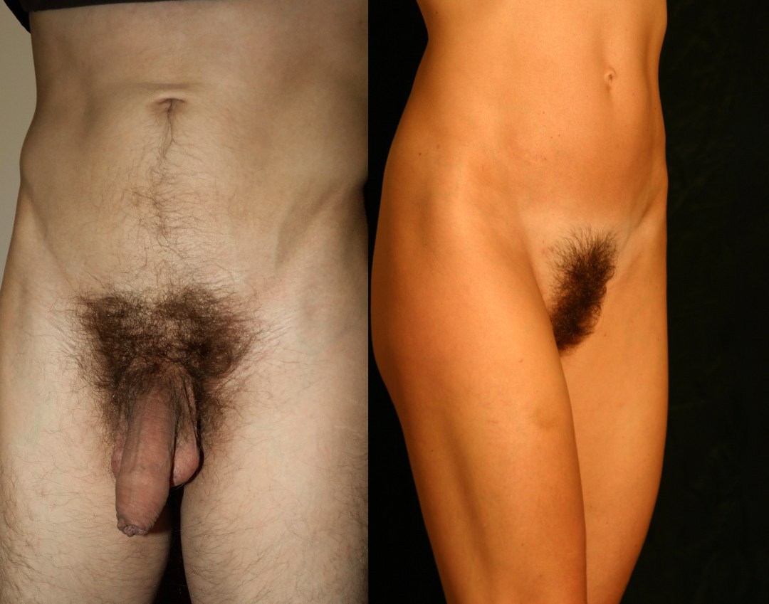 Peinados hambrientos de hombres
