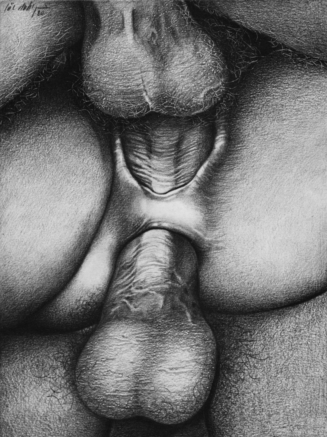 Gráficos pornografía lápiz