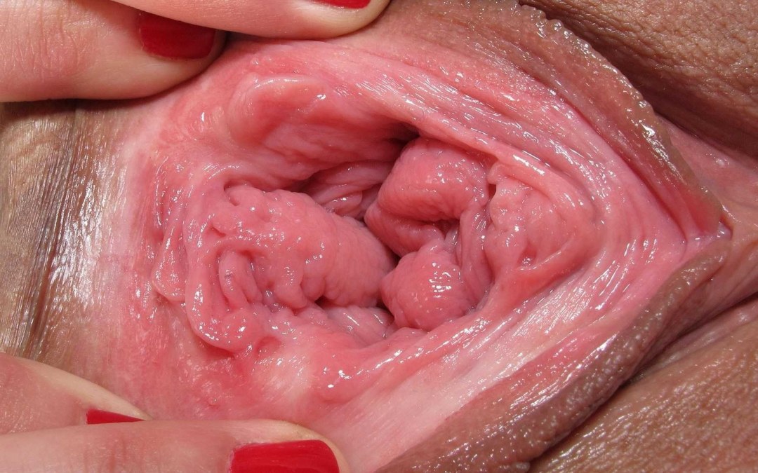 Vagina sana en el interior