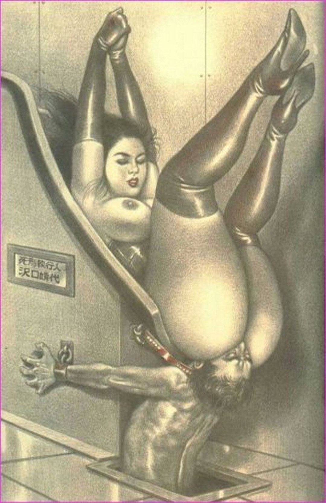 BDSM Art Namyo Harukava