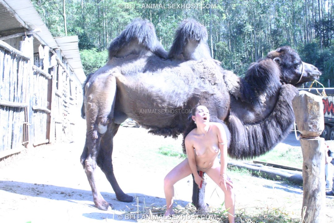 El camello folló a la chica