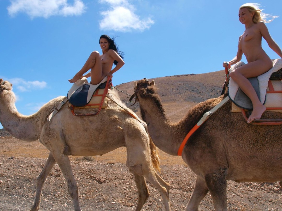 Chicas y camello desnudo